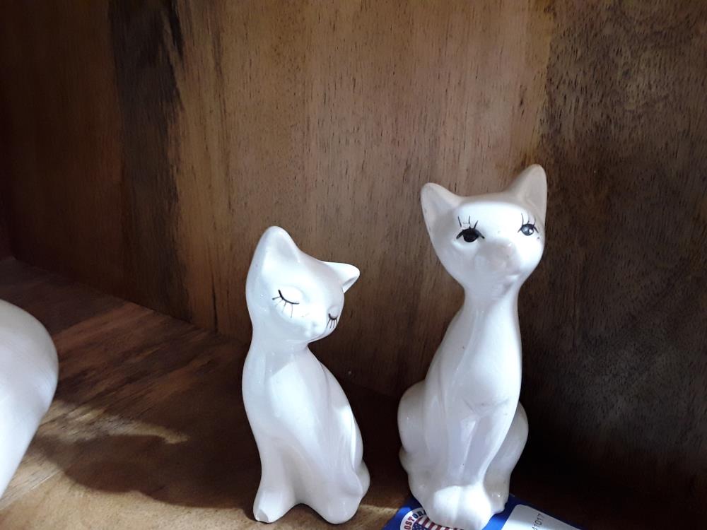 PAIRE DE CHATS BLANC 