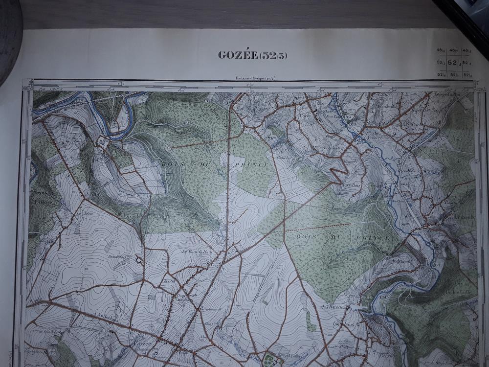 CARTE AU 1/20000 GOZÉE