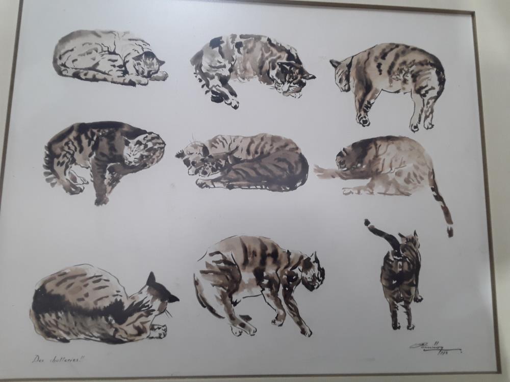 CADRE DÉCO DIFFÉRENTES POSITIONS DE CHATS