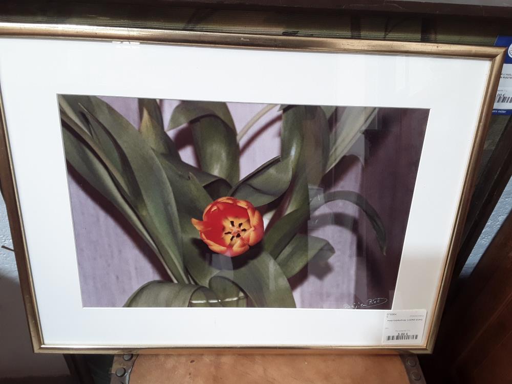 PHOTOGRAPHIE CADRE DORÉ 