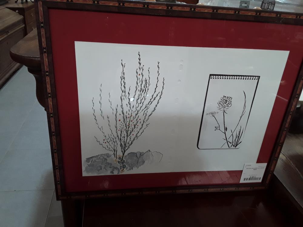 DESSIN AQUARELLE CADRE BOIS 