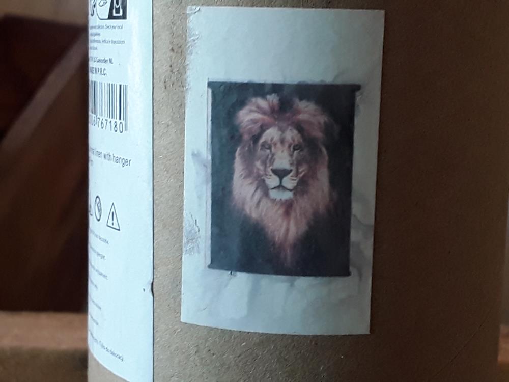 CADRE GRAND FORMAT DECO LION 
