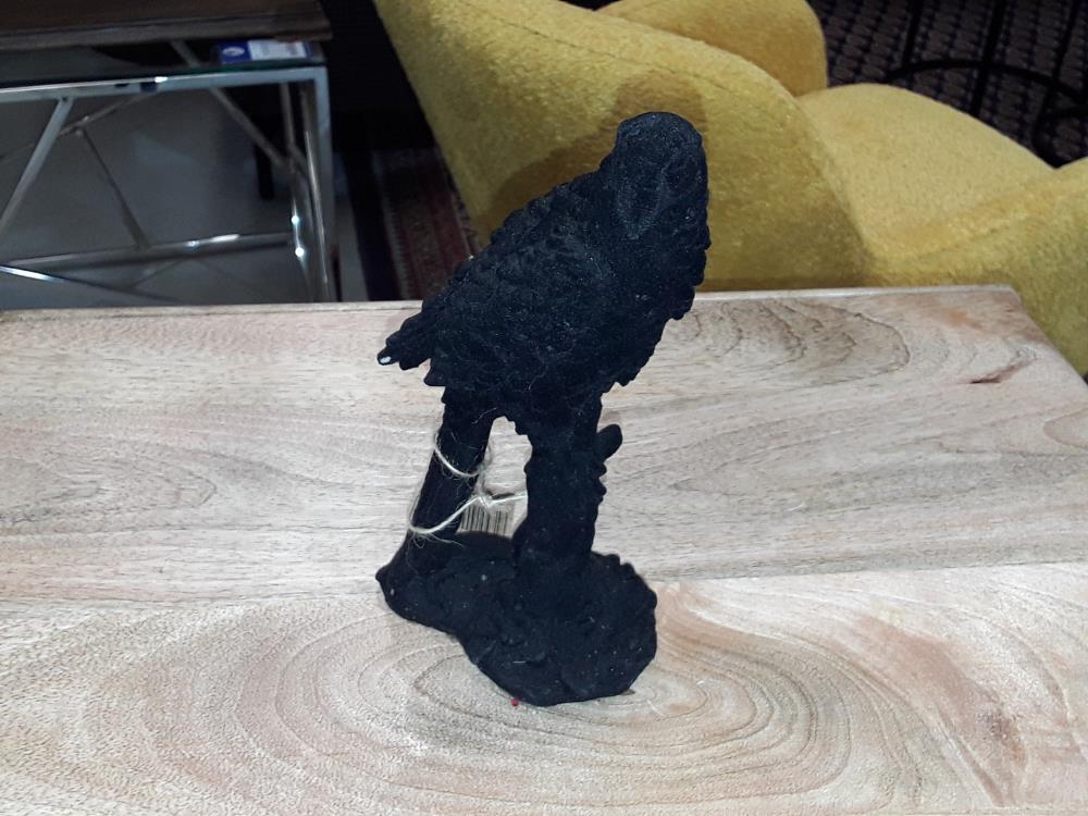 PERROQUET NOIR MINIATURE DECO