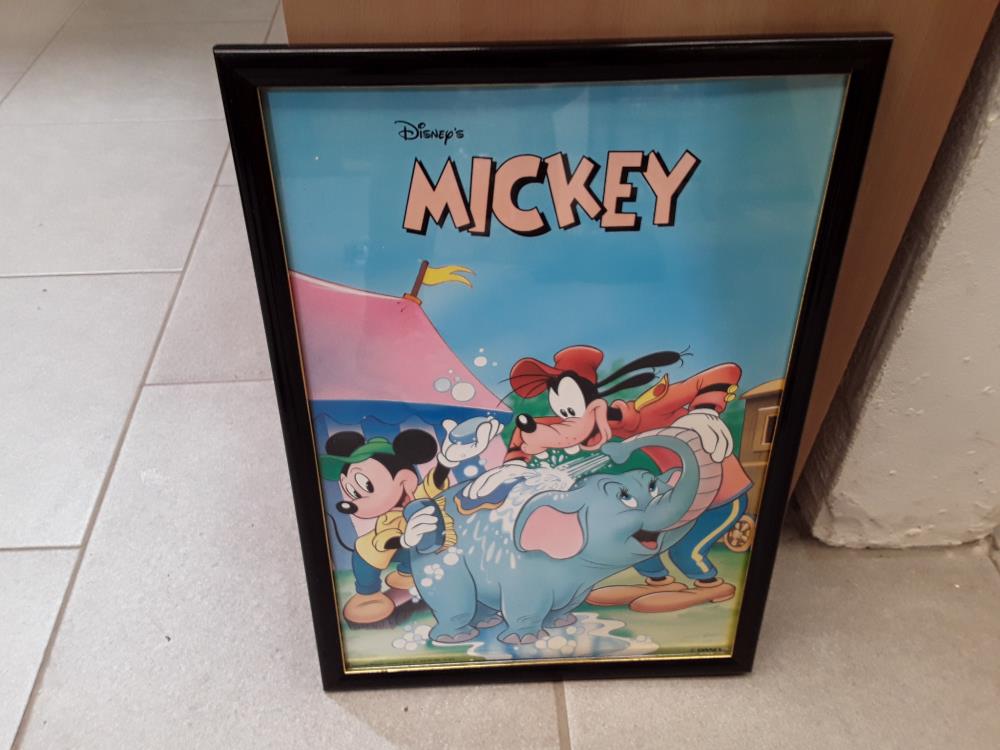 CADRE MICKEY 