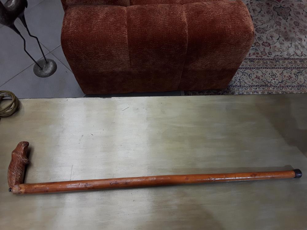 CANNE DÉCORATION MARMOTTE FIN 19È