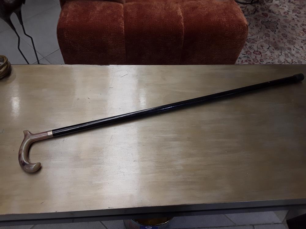 CANNE NERF DE BOEUF FIN 19È