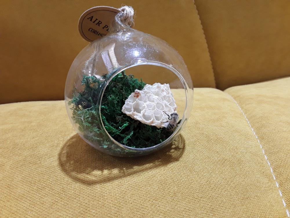 OBJET CURIOSITÉ ABEILLE 