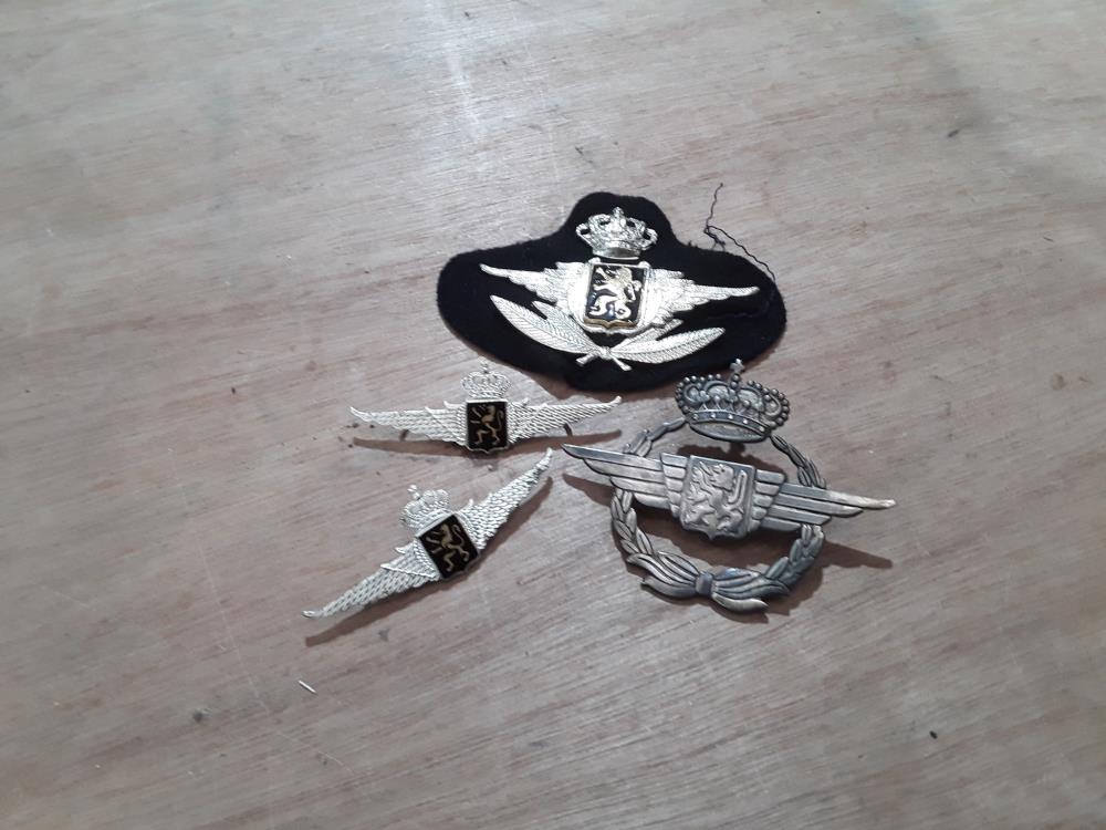 LOT INSIGNES ARAIÈNNE 