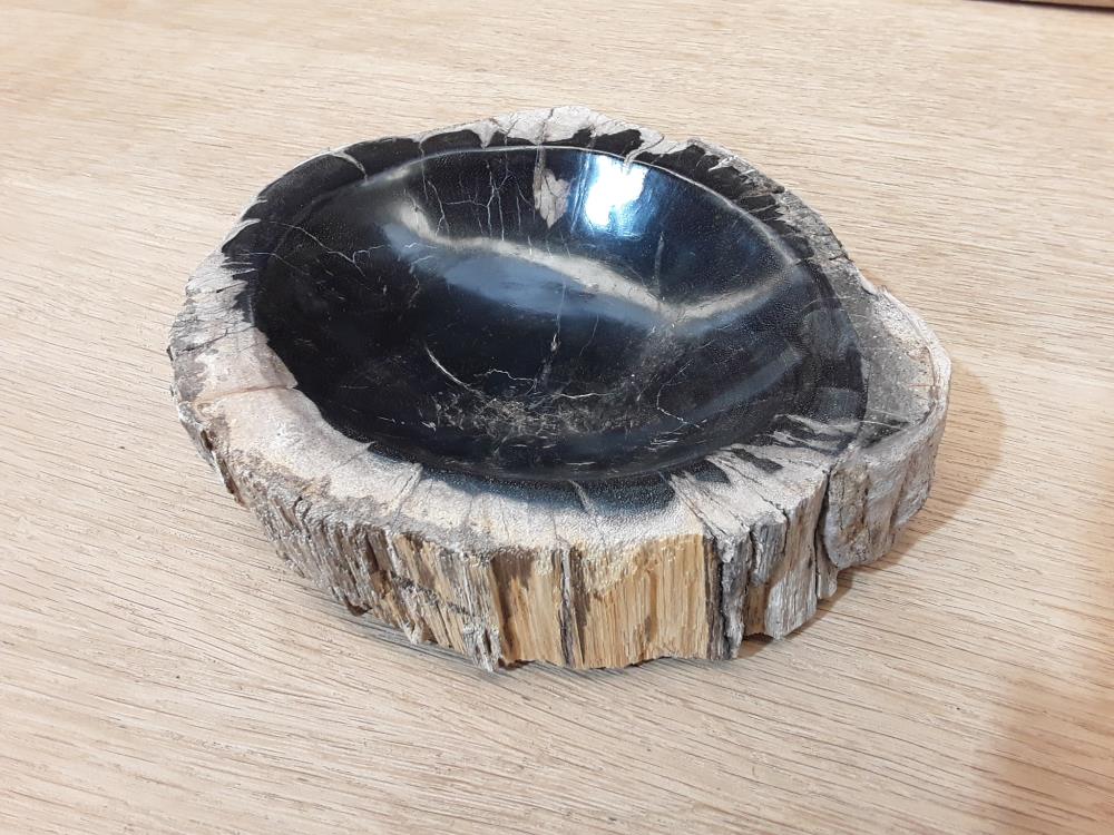 VIDE POCHE BOIS FOSSILISÉ