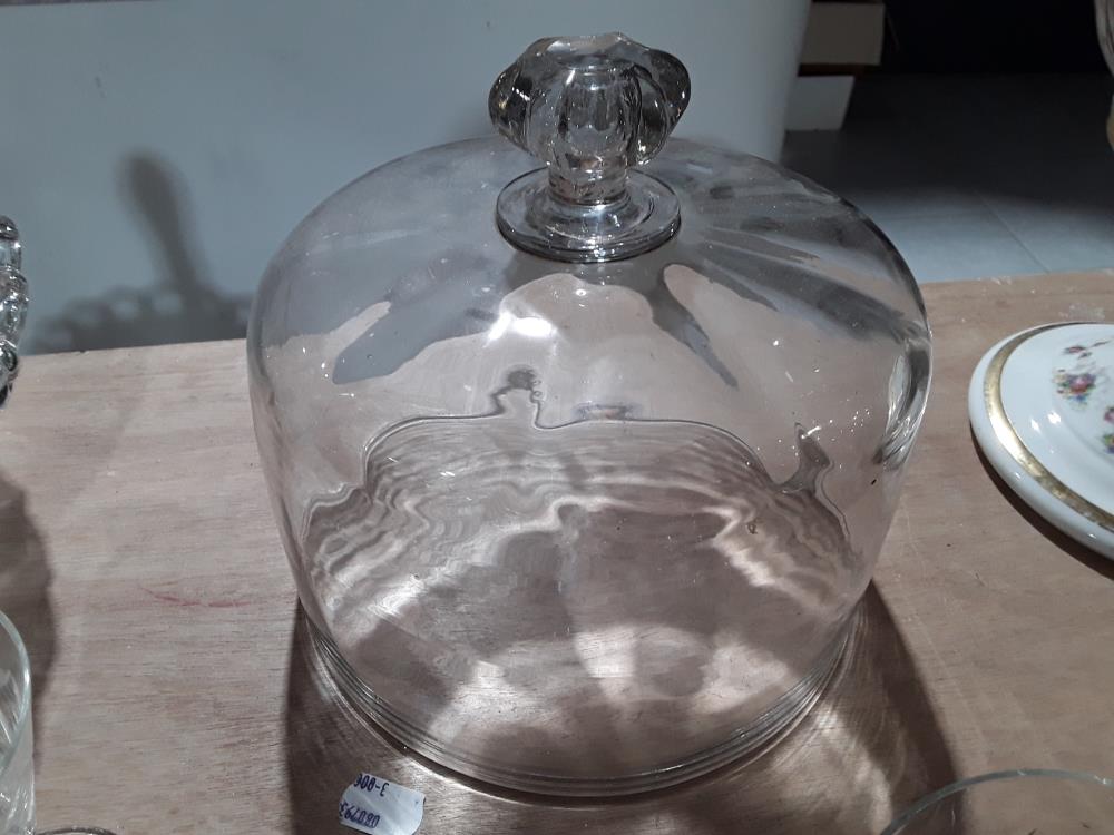 CLOCHE A FROMAGE DECO 