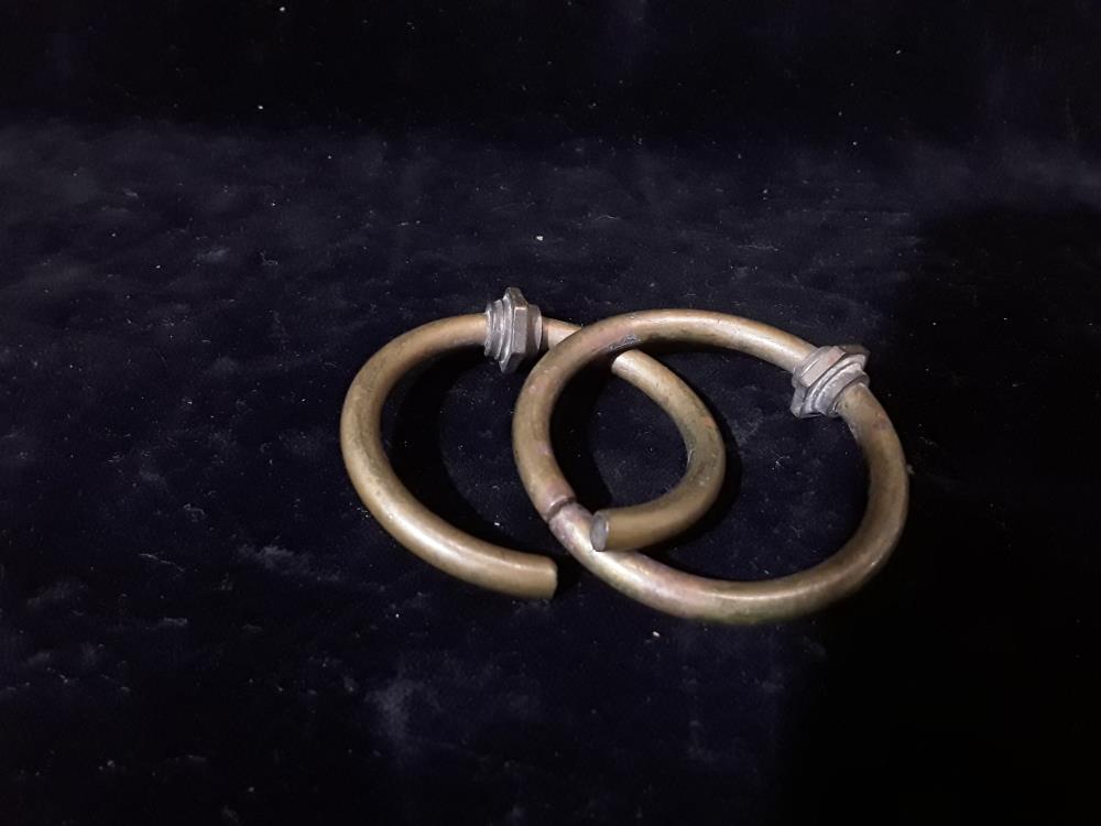 ENSEMBLE 2 ANNEAUX TETE DE LION