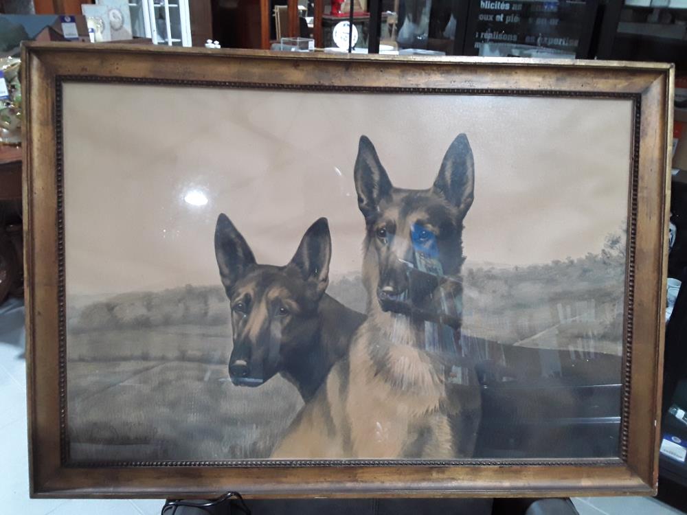 LITHOGRAPHIE BERGER BELGE LEON DANCHIN 1M10/80CM