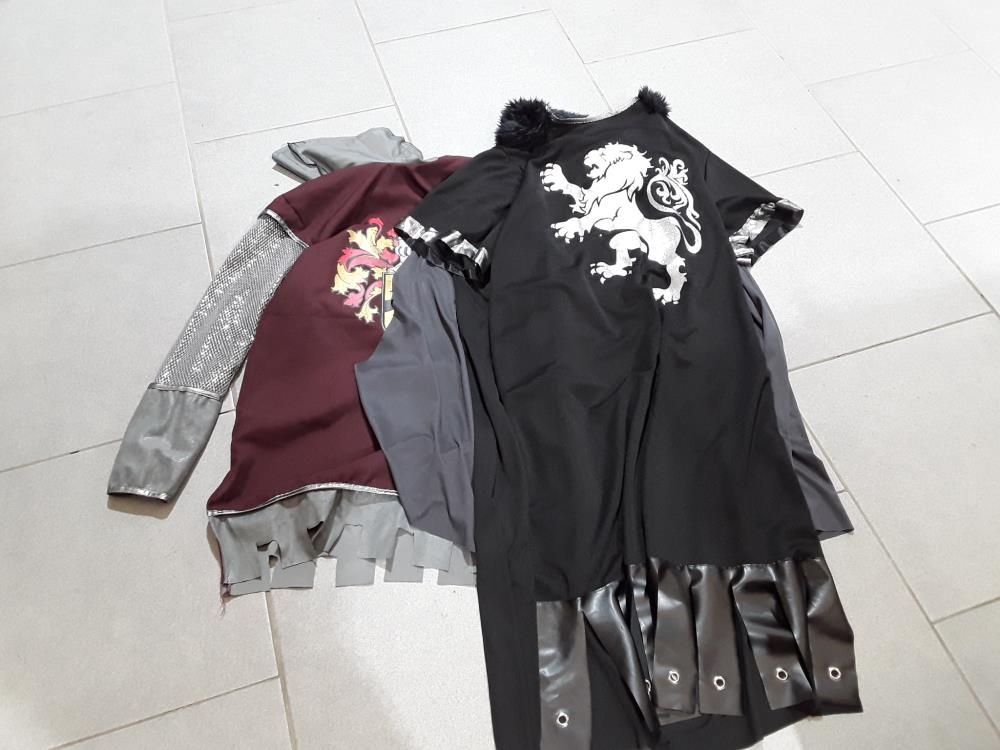 TENUE DE CHEVALIER CARNAVAL 