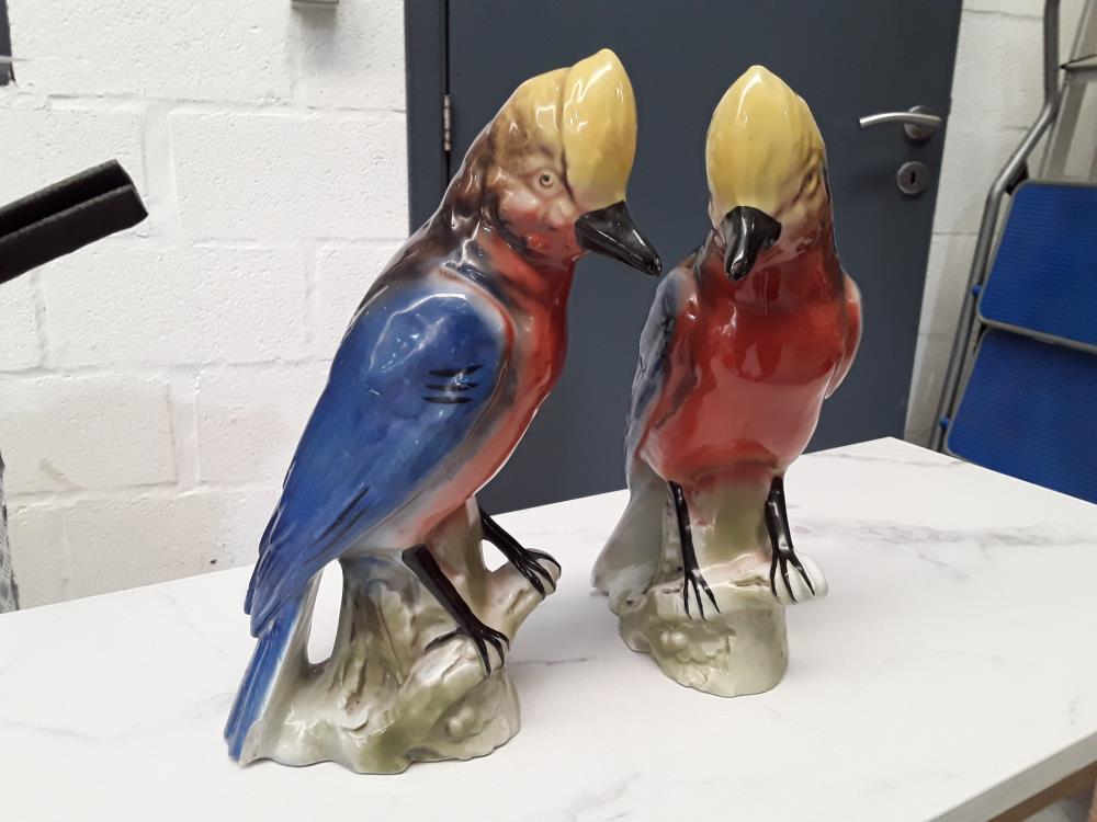 PAIRE D'OISEAUX EN PORCELAINE FIN 19EME 