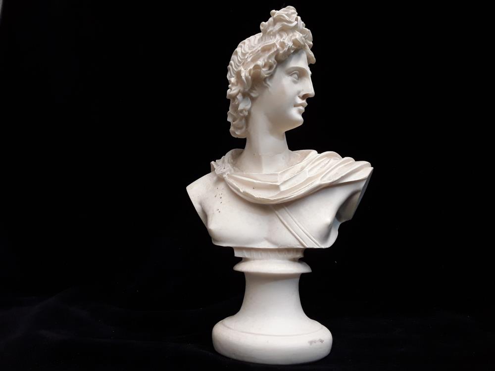 BUSTRE APOLLON DE BELVEDERE 