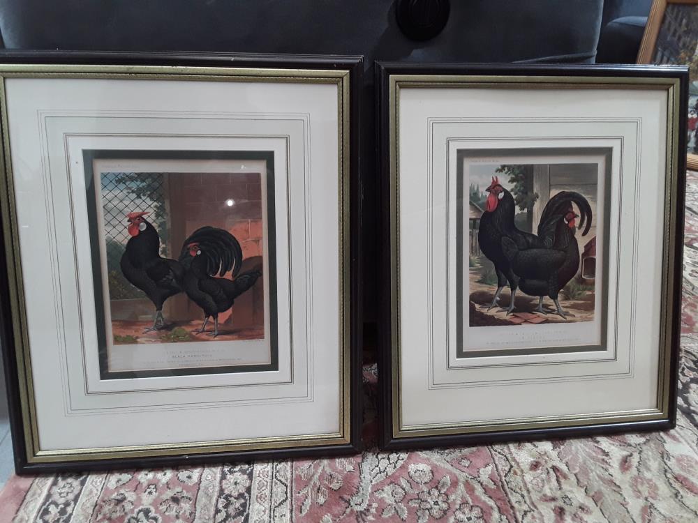 LITHOGRAPHIE POULE ET COQ