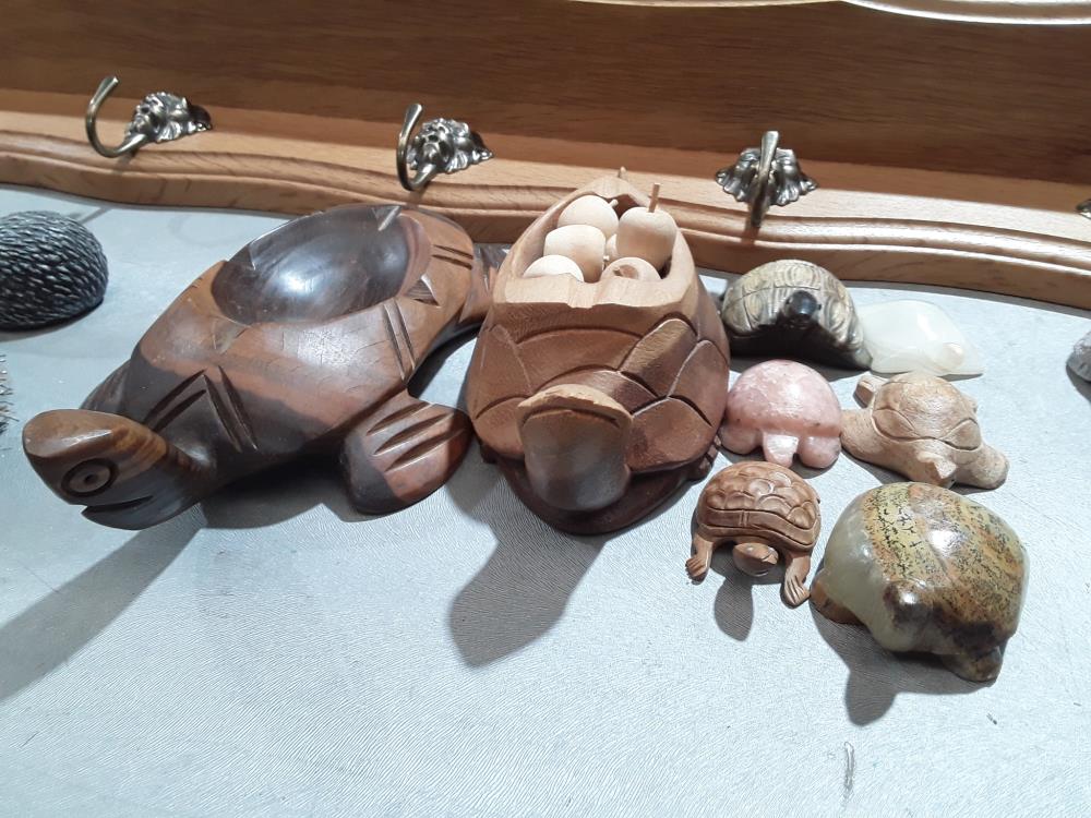 COLLECTION DE TORTUES 