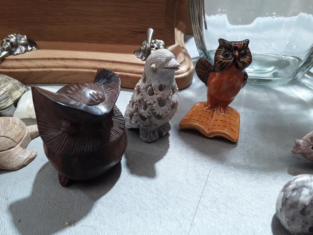 COLLECTION D'OISEAUX 