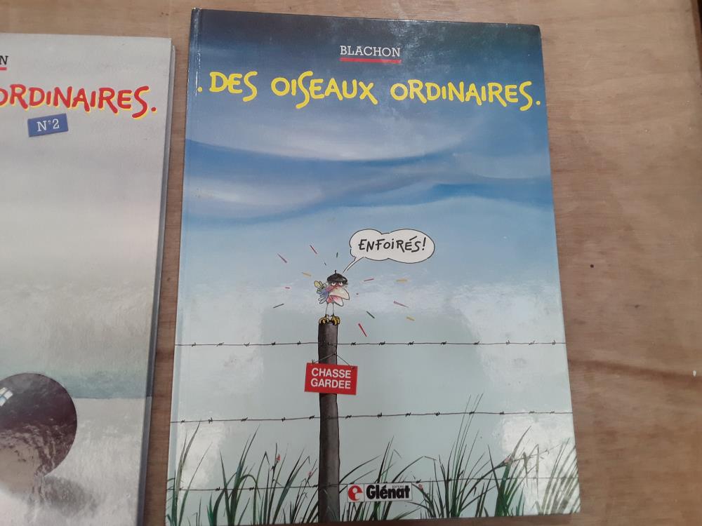 BD BLACHON DES OISEAUX ORDINAIRES 