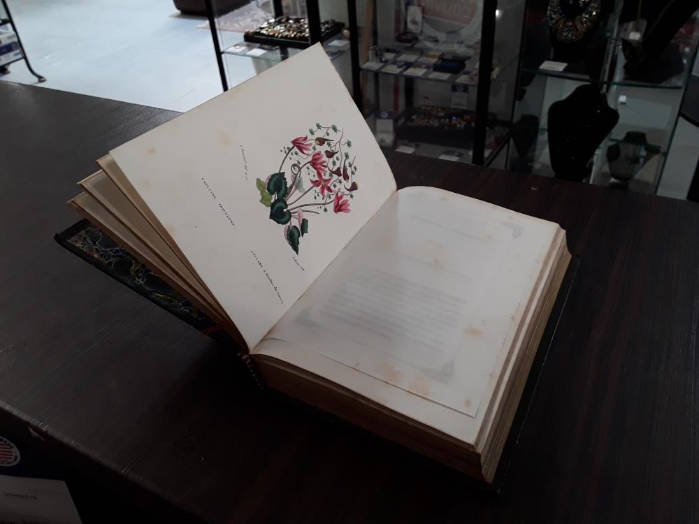 LIVRE ''FLORE DES DAMES''