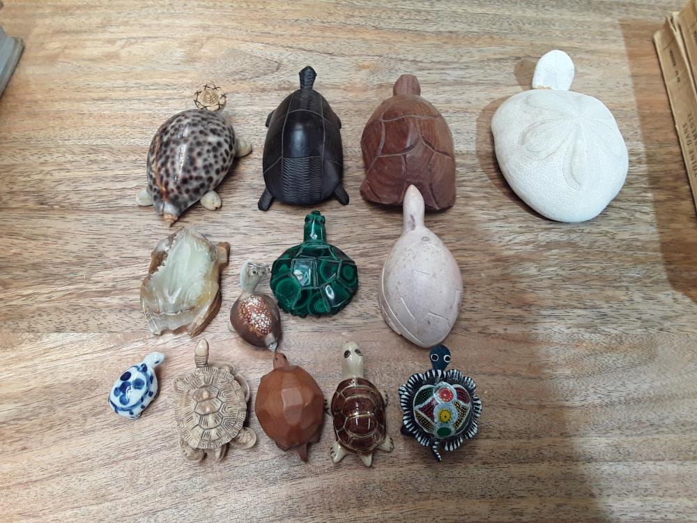 COLLECTION TORTUES