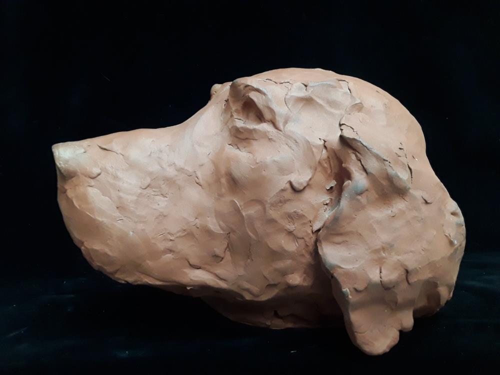 TETE DE CHIEN BRAQUE EN TERRE CUITE 
