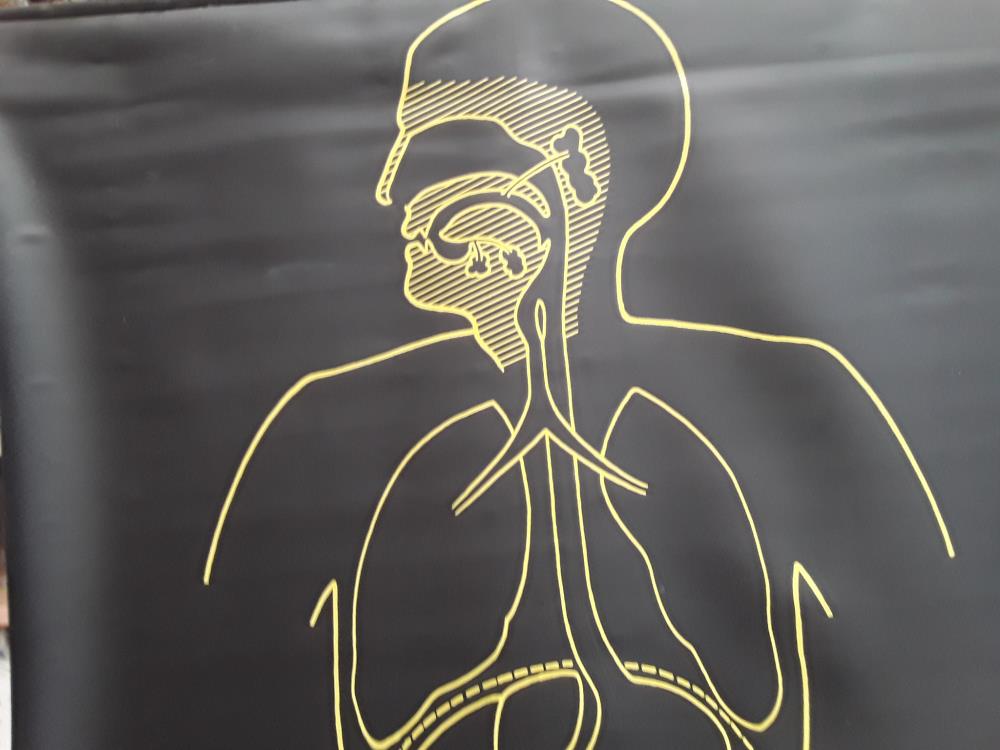 TABLEAU ÉDUCATIF SCIENCE 