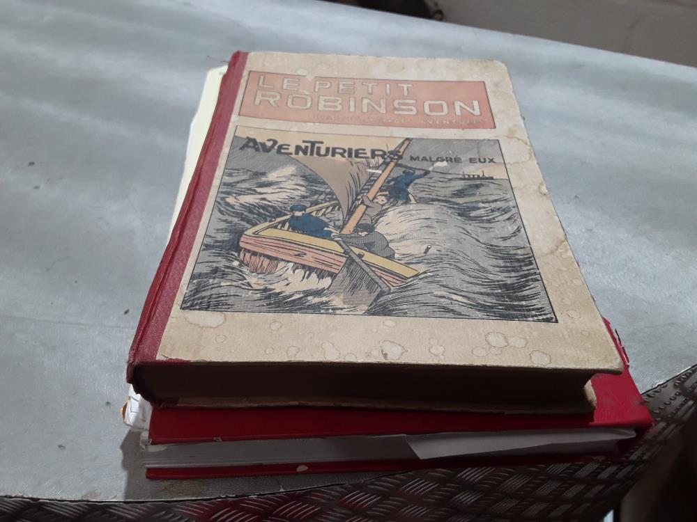LIVRE LE PETIT ROBINSON 