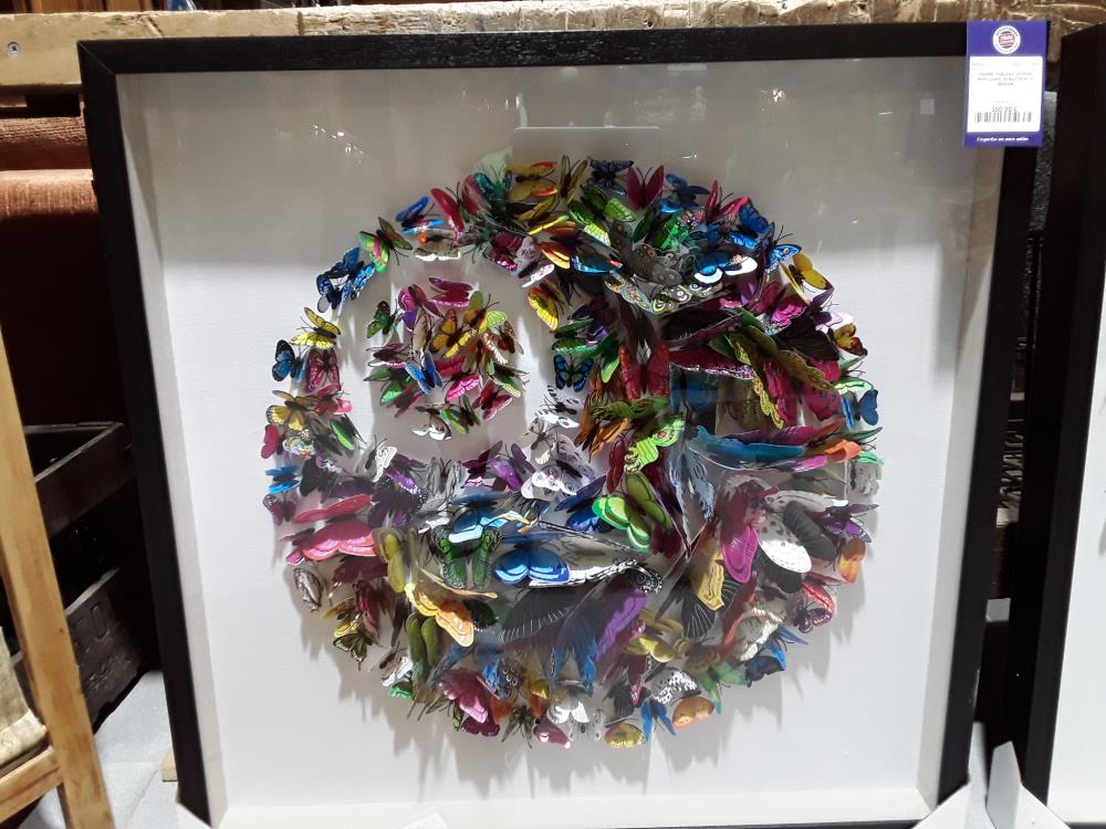CADRE TABLEAU VITRINE PAPILLONS 3D BUTTERFLY DESIGN