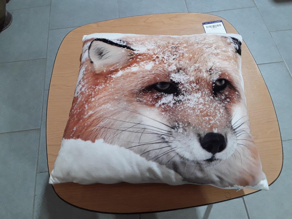 COUSSIN