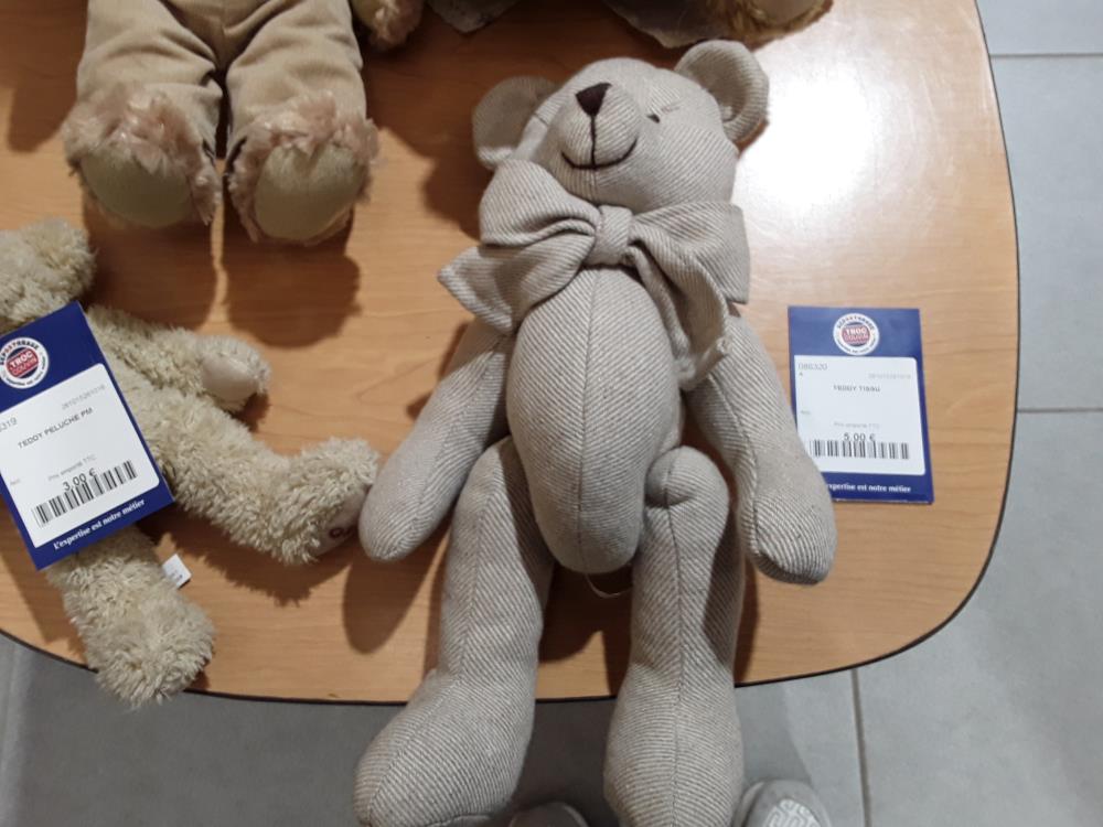TEDDY TISSU
