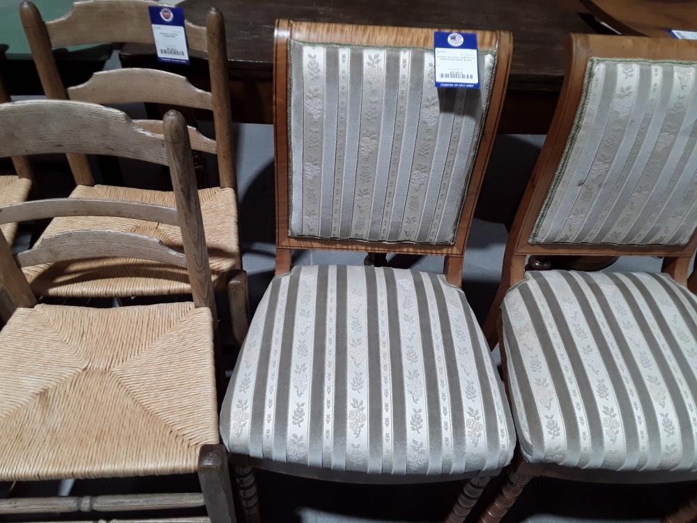 CHAISE VELOURS LIGNÉ STYLE DIRECTOIRE ORME BLANC