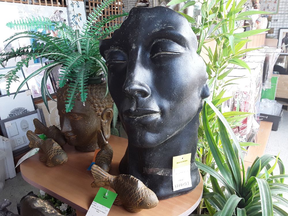 VISAGE  PT MODELE 50 CM  