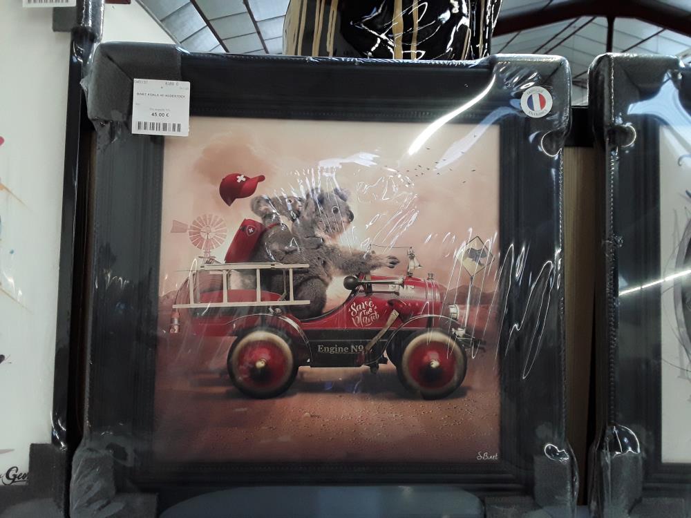 BINET KOALA 40*40/DESTOCK 