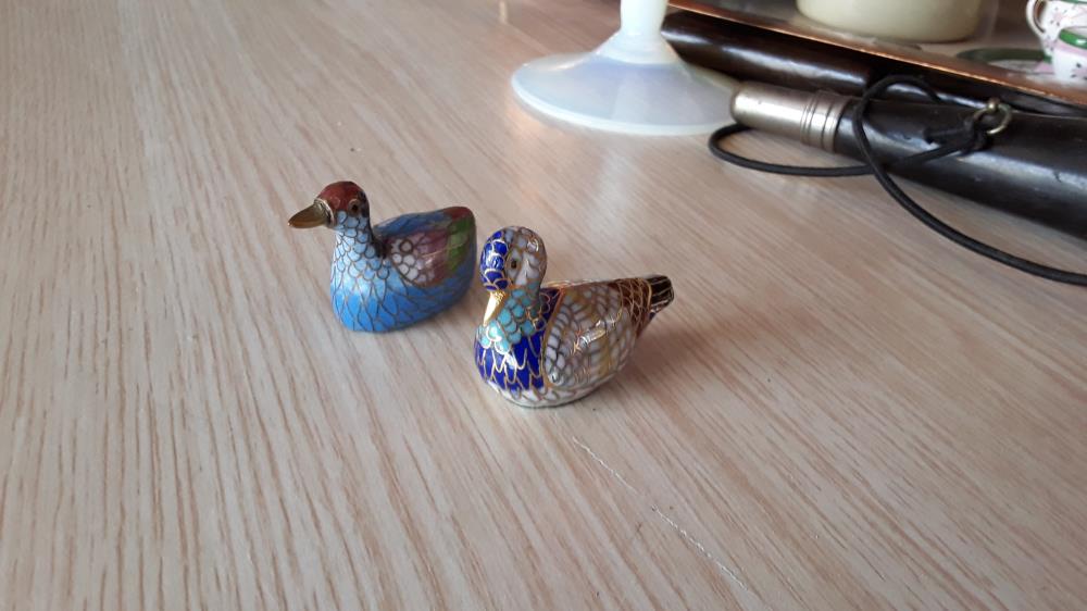 PETIT CANARD 