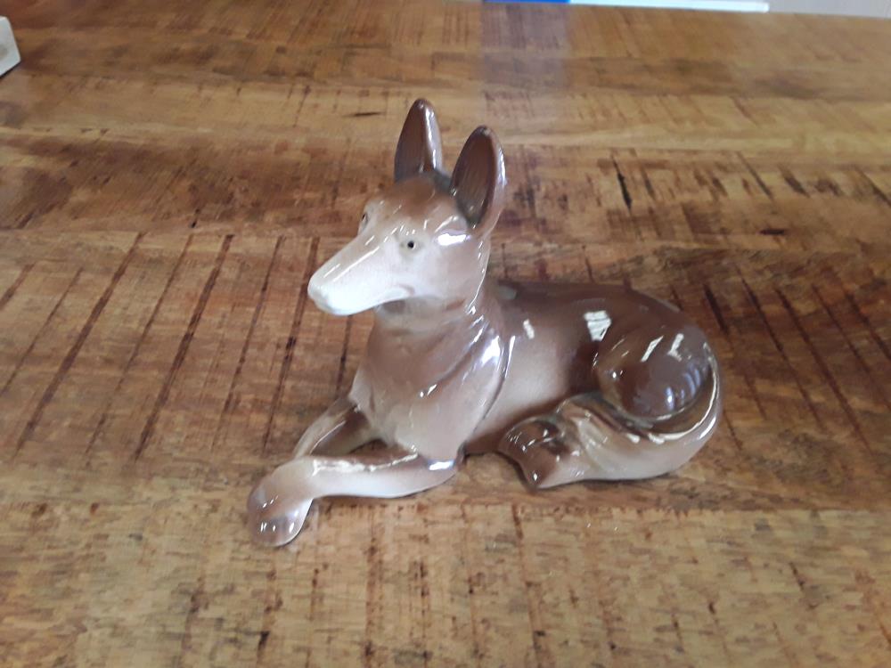 CHIEN