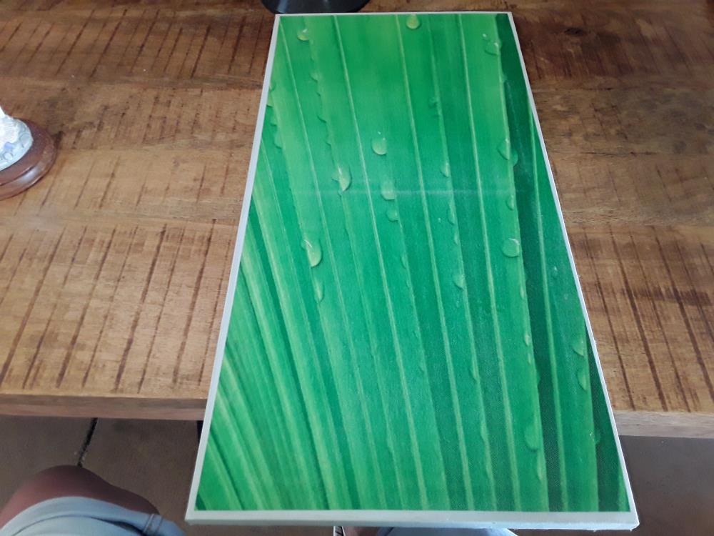 TABLEAU IMPRIMÉ FEUILLE
