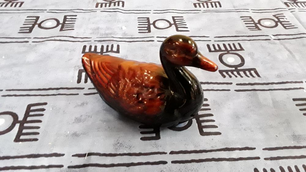 CANARD