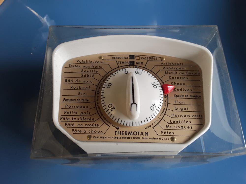 THERMOSTAT CUISINE 