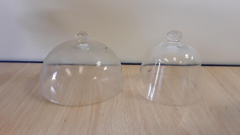 CLOCHE VERRE