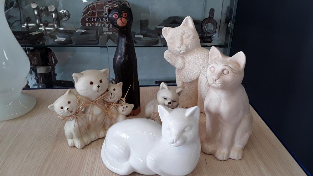 CHAT DECO DIVERS