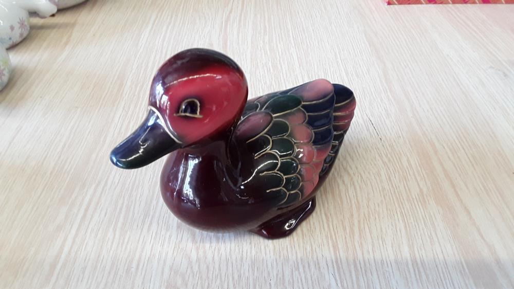 CANARD