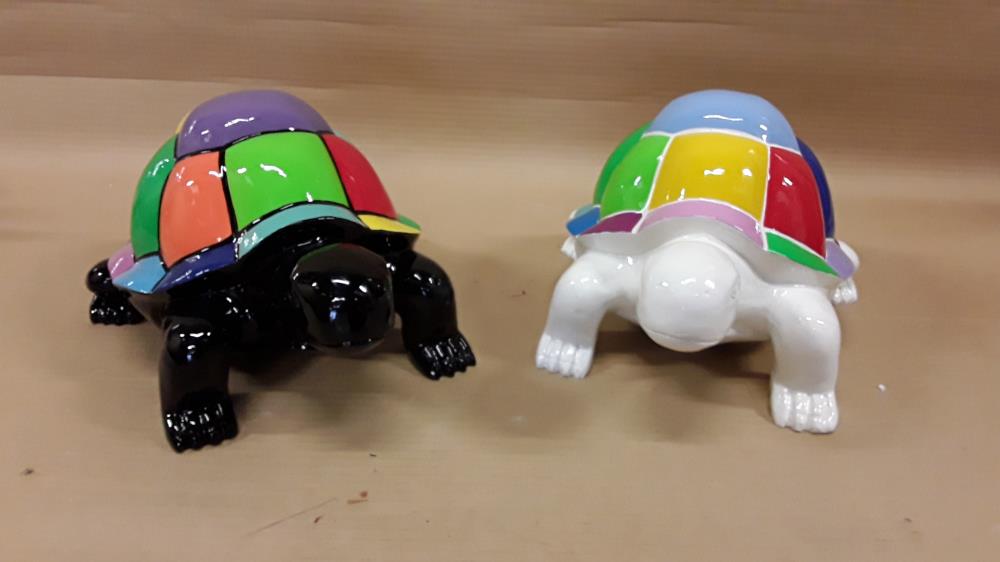 TORTUE MULTICOLORE 