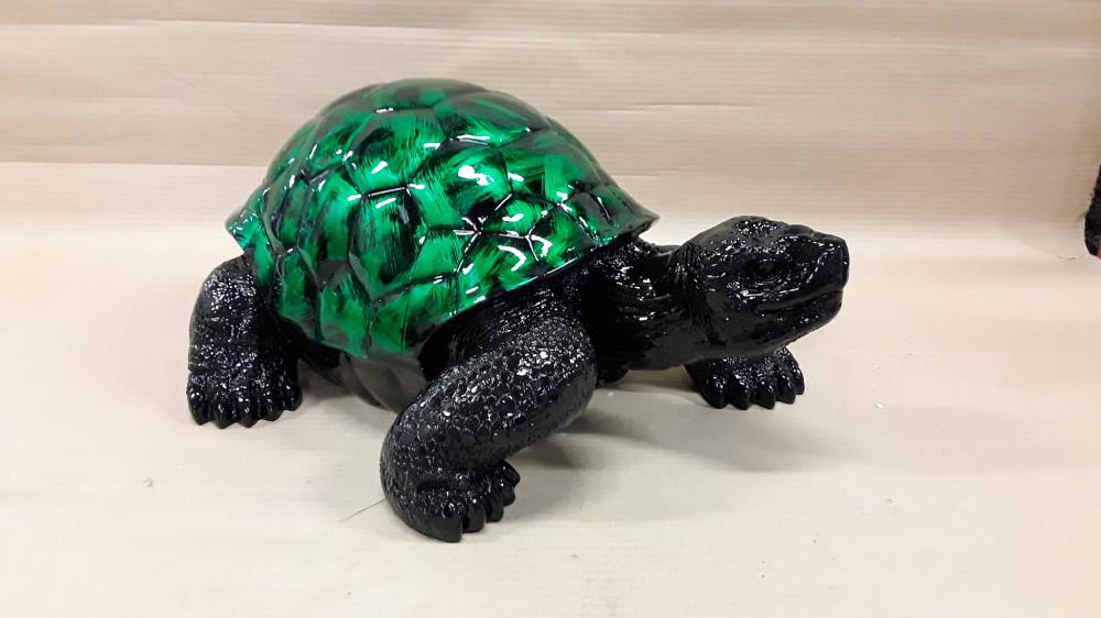 TORTUE GM
