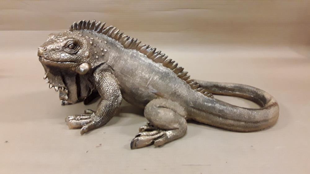 IGUANE 