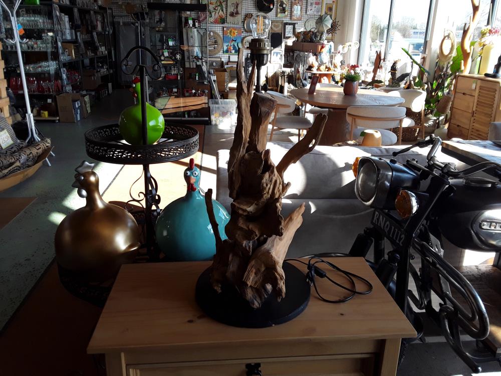  LAMPE RACINE
