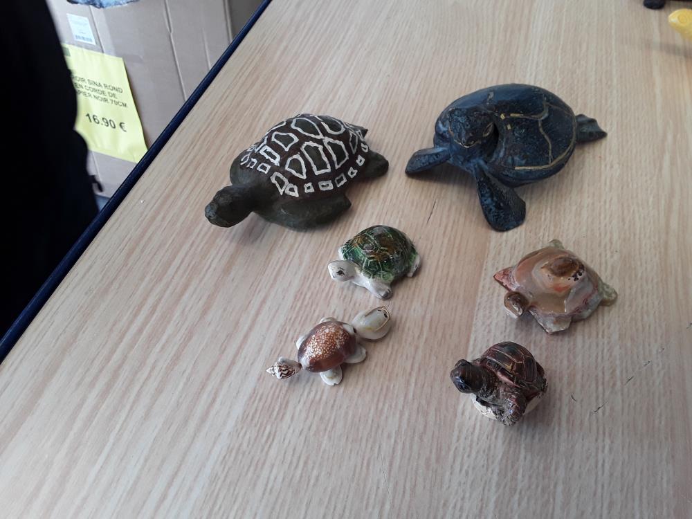 TORTUE 