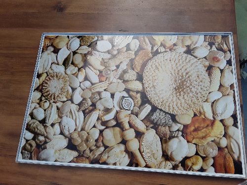 TABLEAU COQUILLAGE 