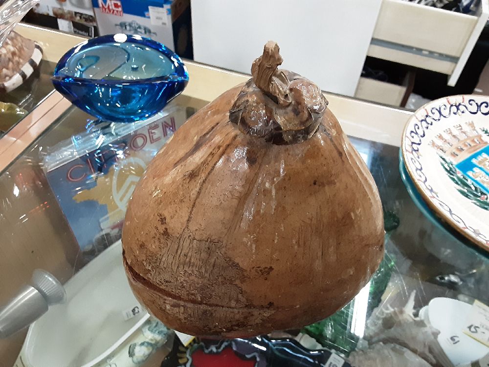 NOIX DE COCO