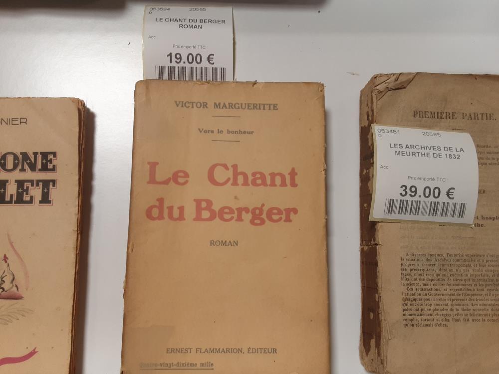 LE CHANT DU BERGER ROMAN